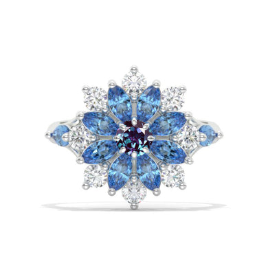 clio-https://clio.giliarto.com/ring/1/1126